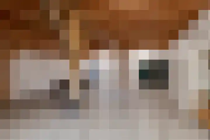 Rhenoyseweg 9 Rhenoy thumbnail 29