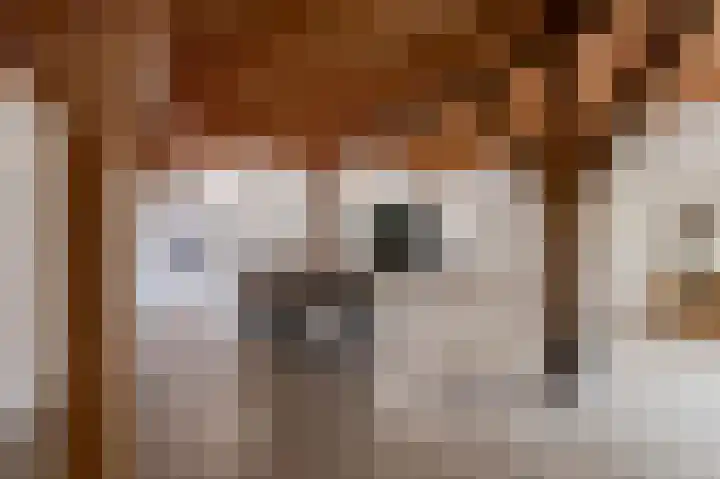 Rhenoyseweg 9 Rhenoy thumbnail 30