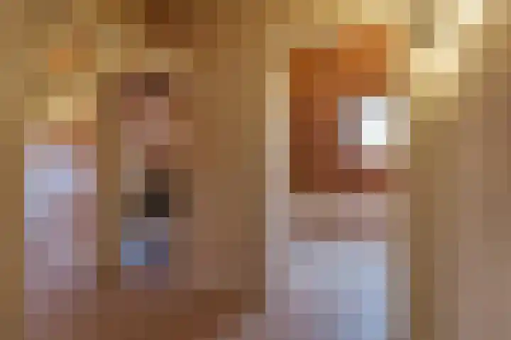 Rhenoyseweg 9 Rhenoy thumbnail 31
