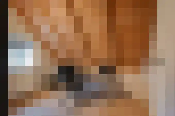 Rhenoyseweg 9 Rhenoy thumbnail 32