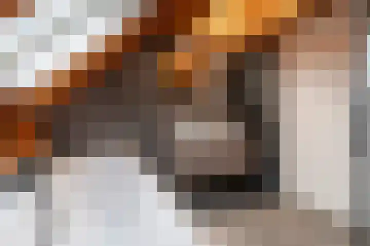 Rhenoyseweg 9 Rhenoy thumbnail 35