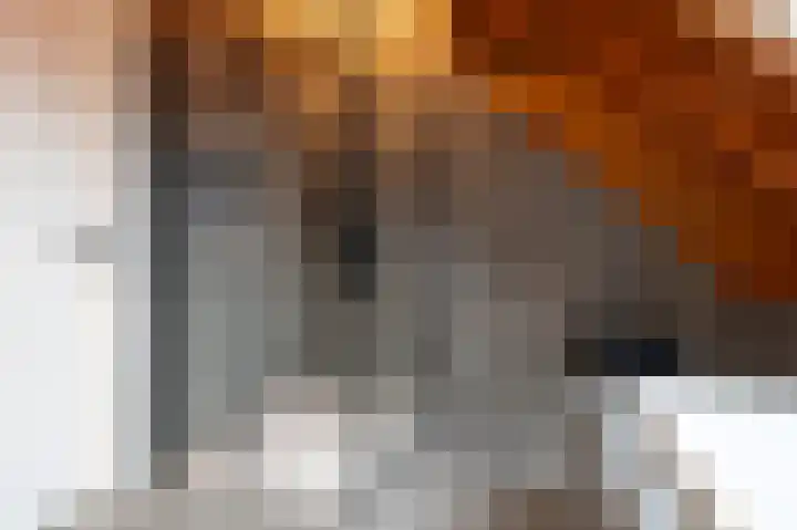 Rhenoyseweg 9 Rhenoy thumbnail 37