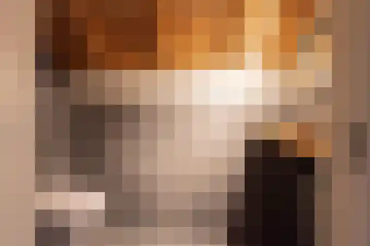 Rhenoyseweg 9 Rhenoy thumbnail 38