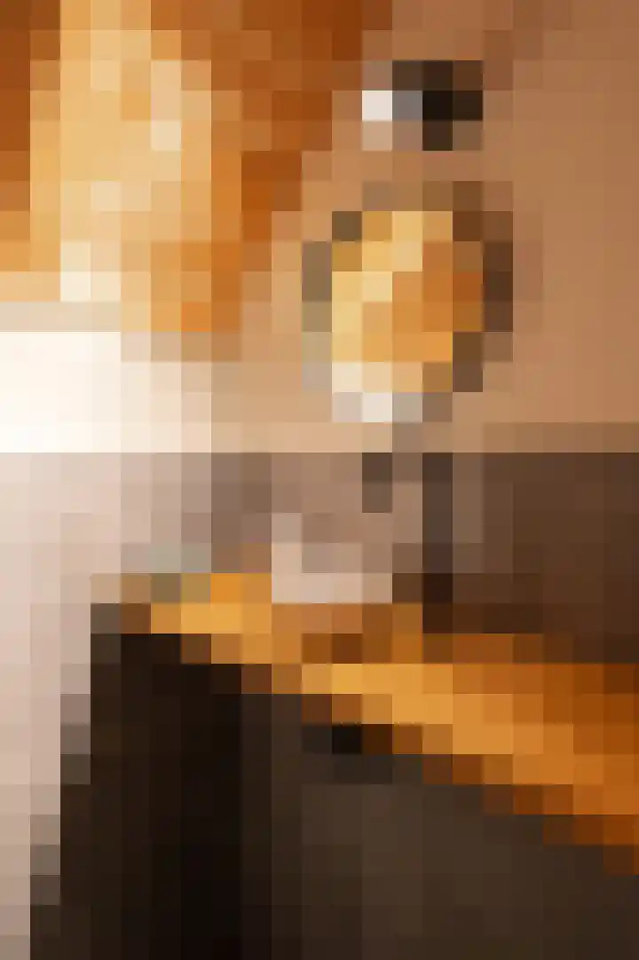 Rhenoyseweg 9 Rhenoy thumbnail 39