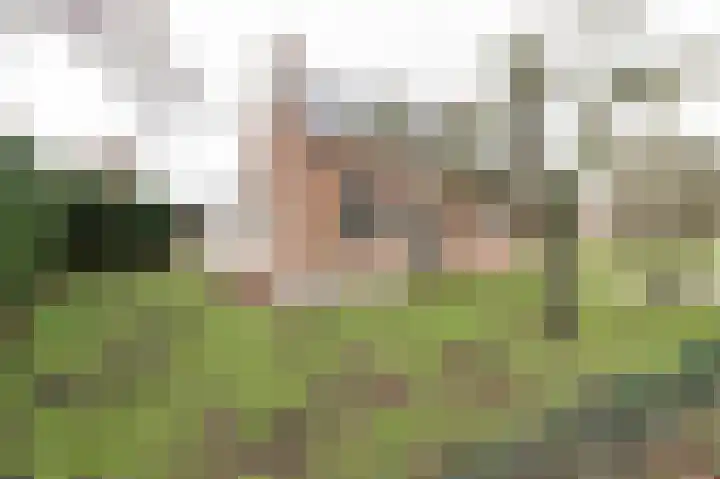 Rhenoyseweg 9 Rhenoy thumbnail 4