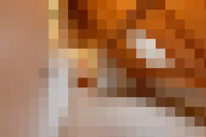 Rhenoyseweg 9 Rhenoy thumbnail 40