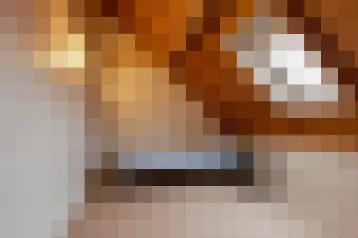 Rhenoyseweg 9 Rhenoy thumbnail 41