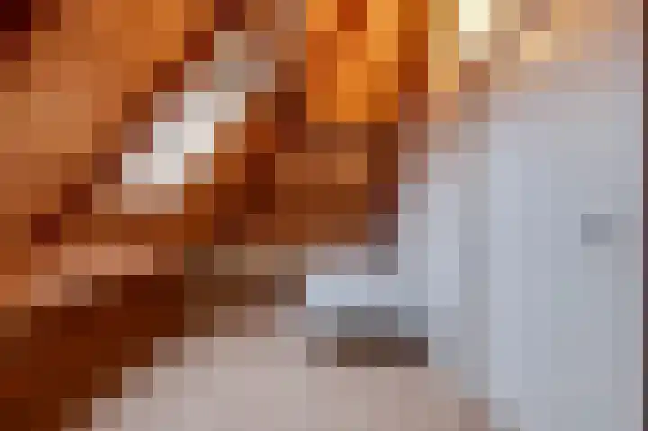 Rhenoyseweg 9 Rhenoy thumbnail 42