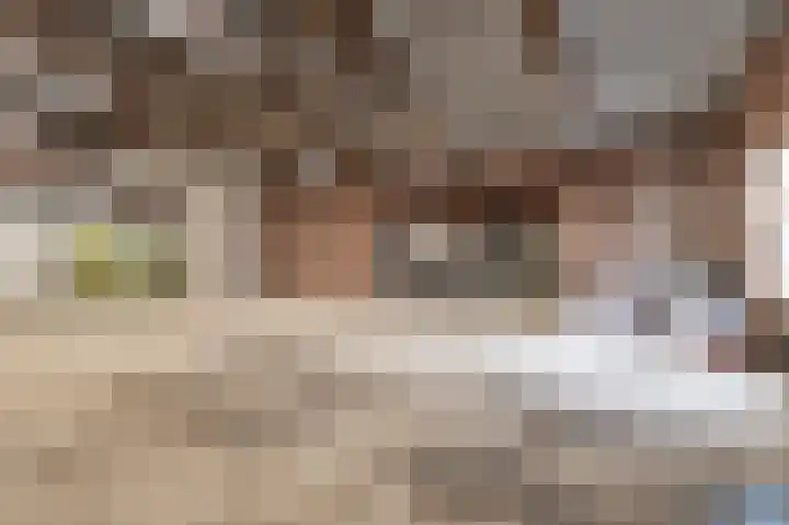 Rhenoyseweg 9 Rhenoy thumbnail 45