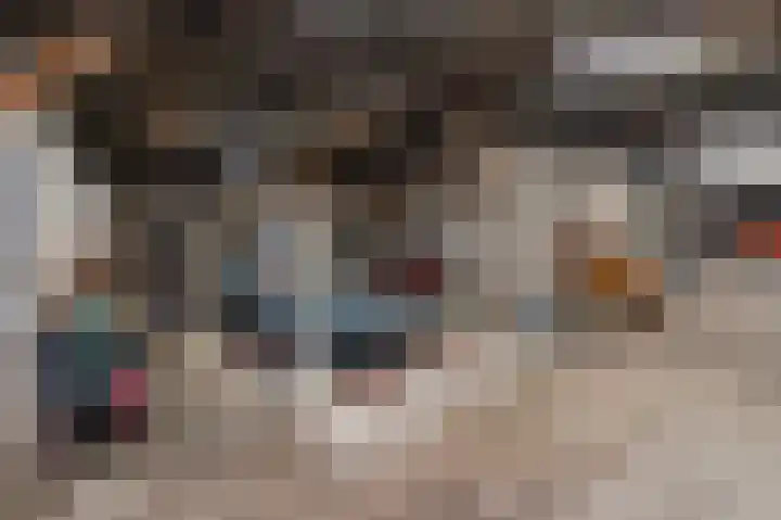 Rhenoyseweg 9 Rhenoy thumbnail 47