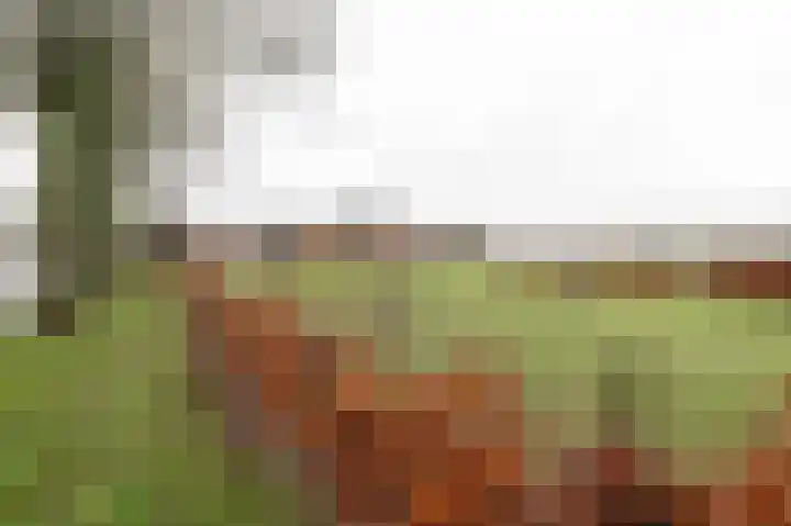 Rhenoyseweg 9 Rhenoy thumbnail 5