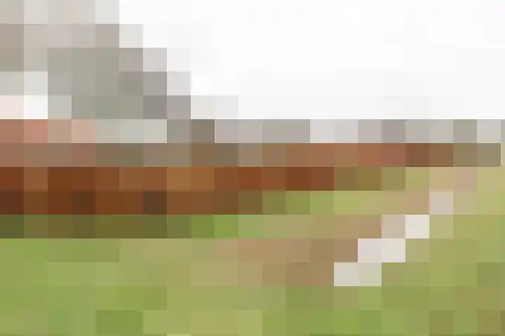 Rhenoyseweg 9 Rhenoy thumbnail 6