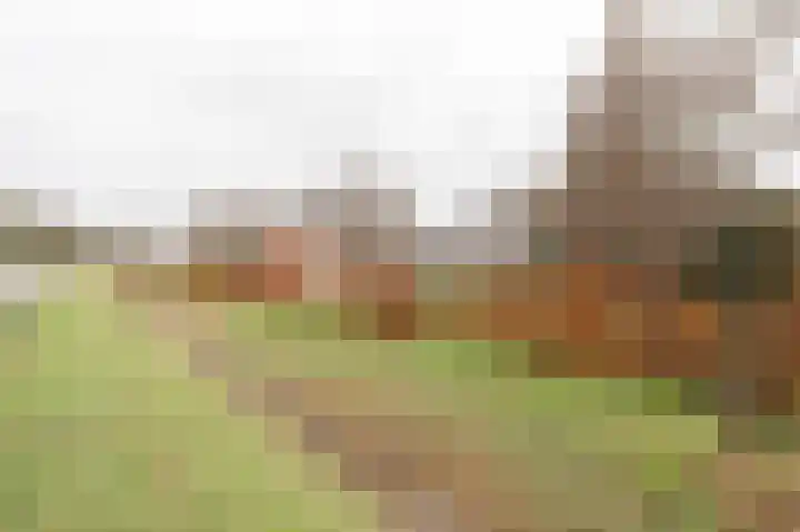 Rhenoyseweg 9 Rhenoy thumbnail 8