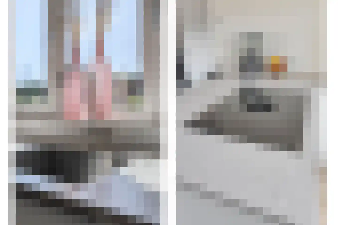 Rhenoystraat 2 Tilburg thumbnail 12