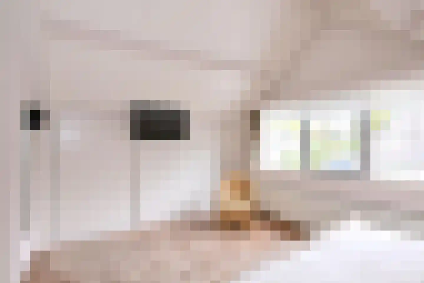 Rhiender Es 1 Brummen thumbnail 18