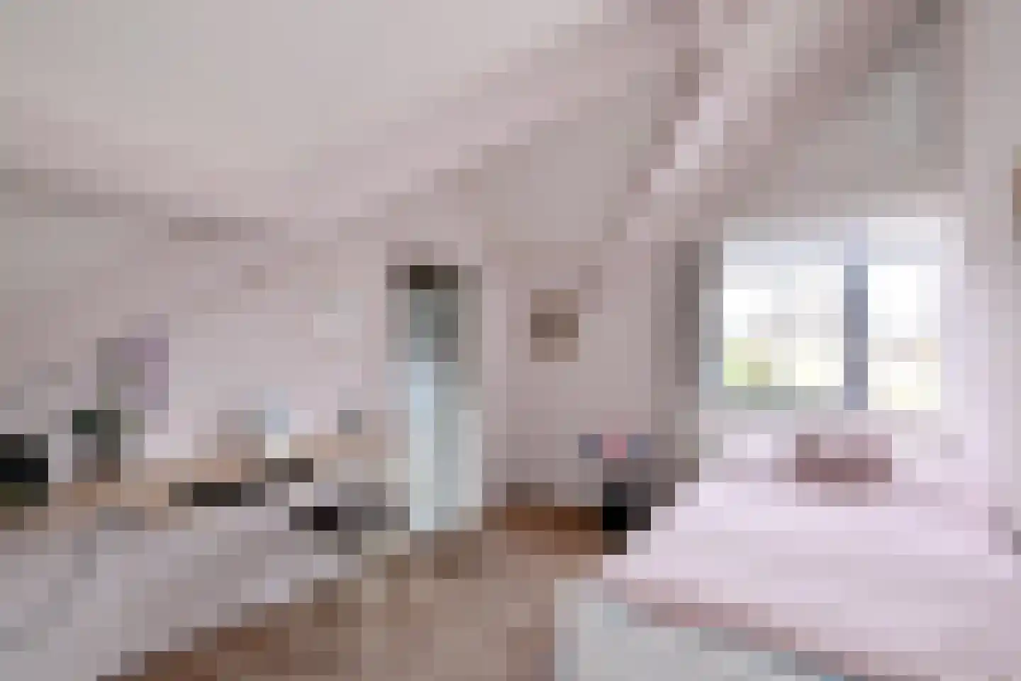 Rhiender Es 1 Brummen thumbnail 24