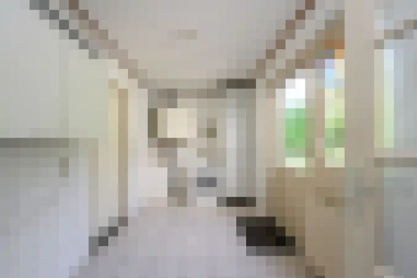 Rhiender Es 2 Brummen thumbnail 11