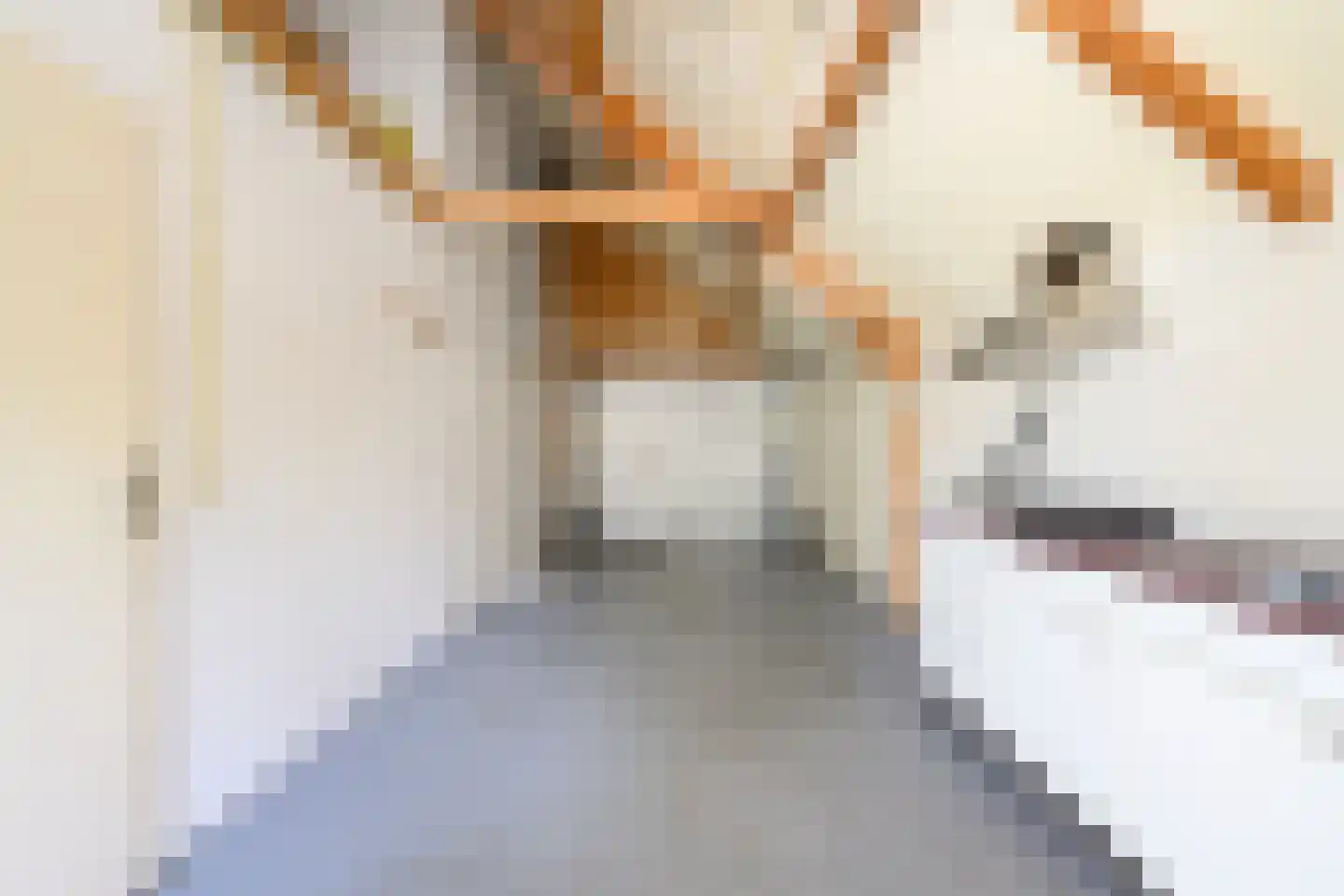 Rhiender Es 2 Brummen thumbnail 13