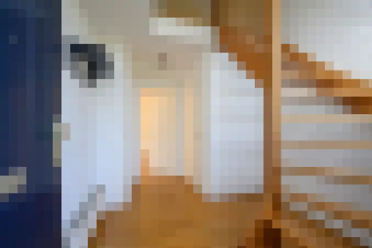 Rhiender Es 2 Brummen thumbnail 14