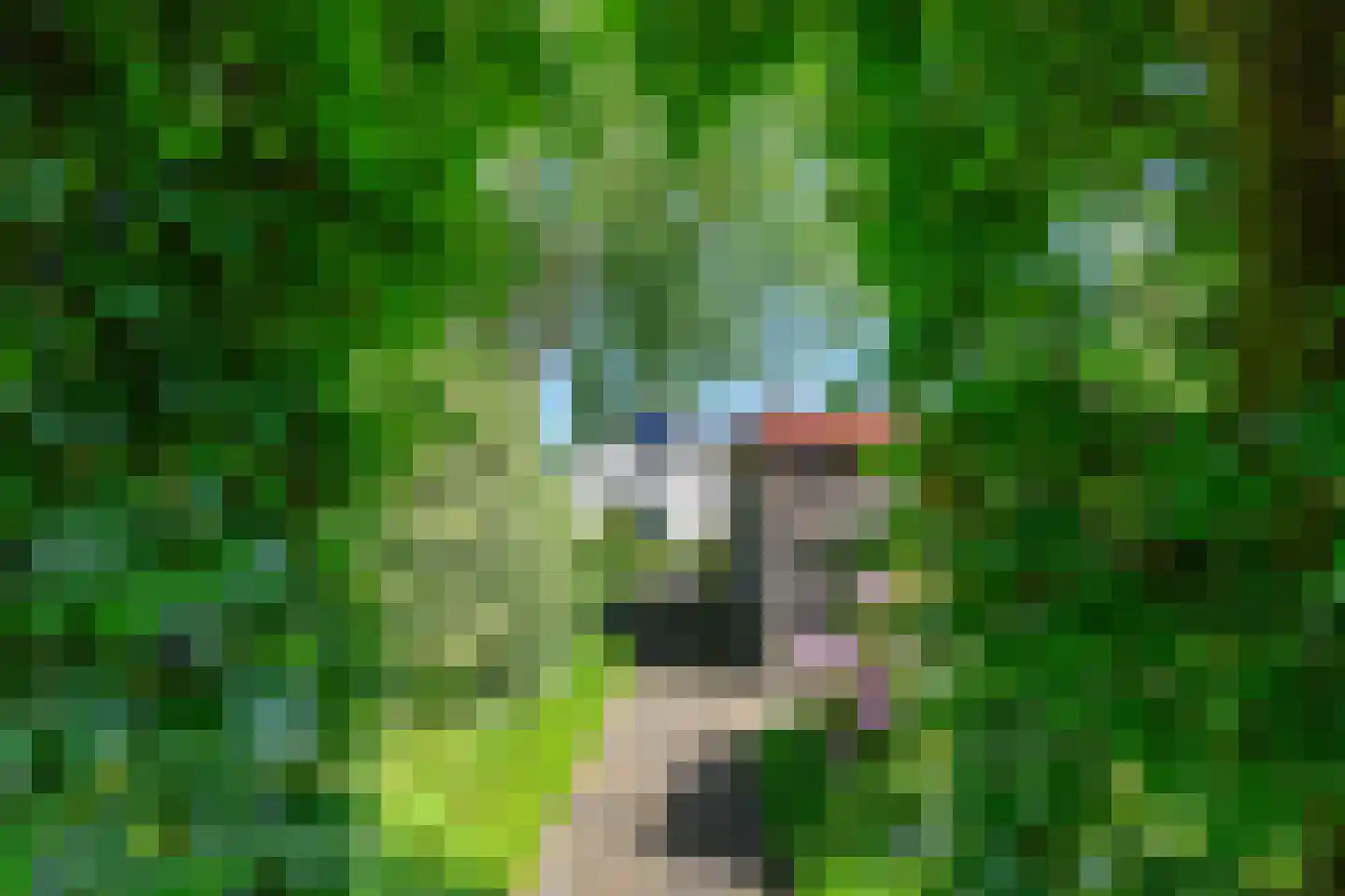 Rhiender Es 2 Brummen thumbnail 26