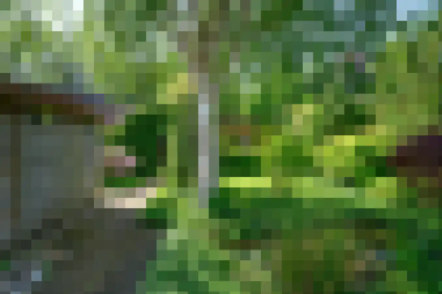 Rhiender Es 2 Brummen thumbnail 27