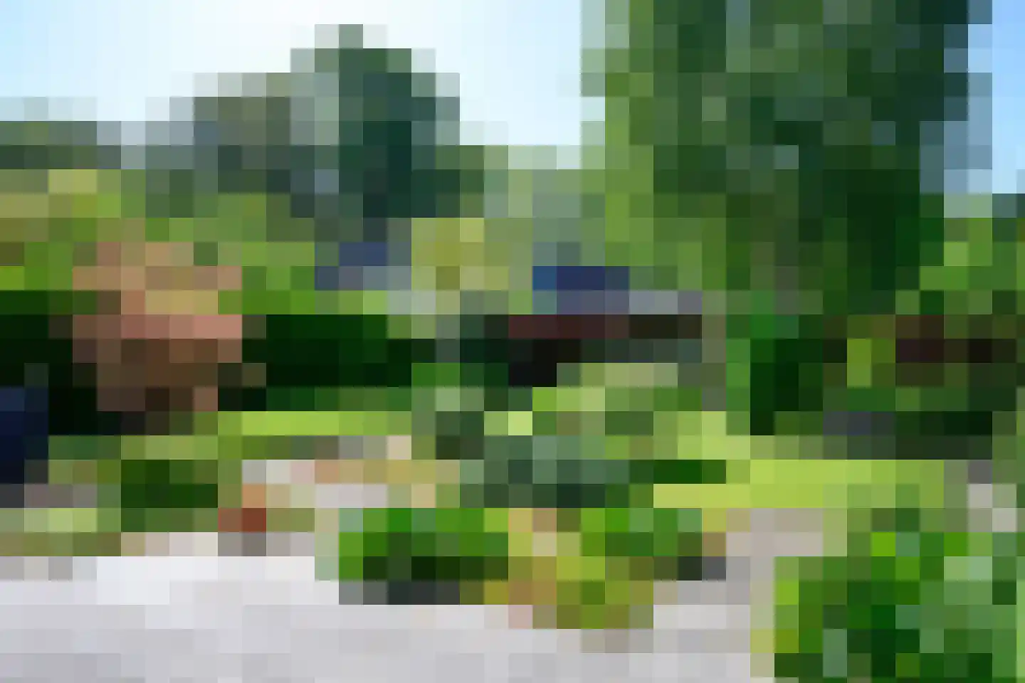 Rhiender Es 2 Brummen foto 3