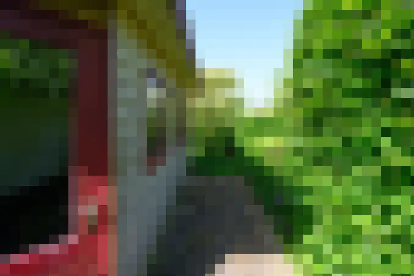Rhiender Es 2 Brummen thumbnail 30