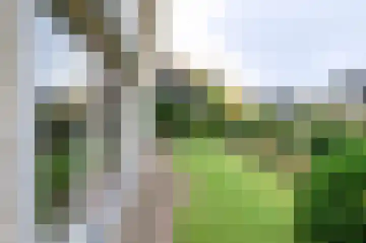 Rhiender Es 26 Brummen thumbnail 22