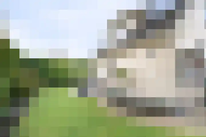 Rhiender Es 26 Brummen thumbnail 28