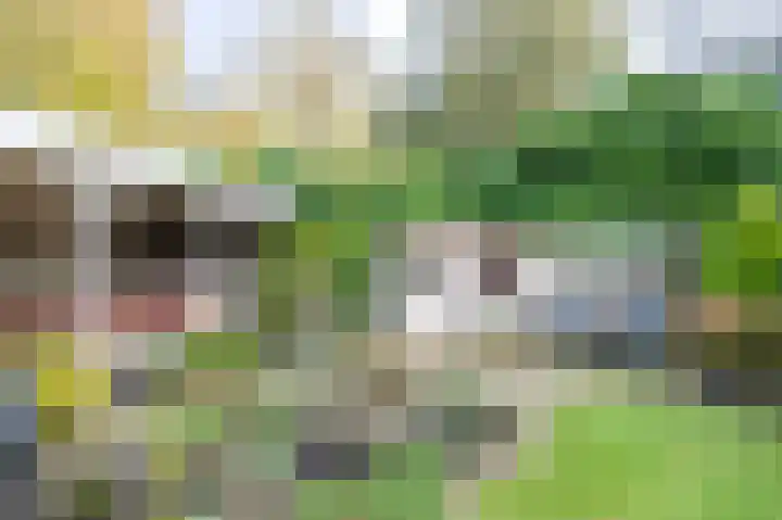 Rhiender Es 26 Brummen thumbnail 30