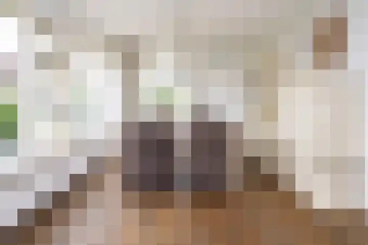 Rhiender Es 26 Brummen thumbnail 6