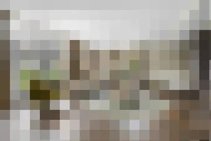 Rhienderensestraat 49 Hall thumbnail 10