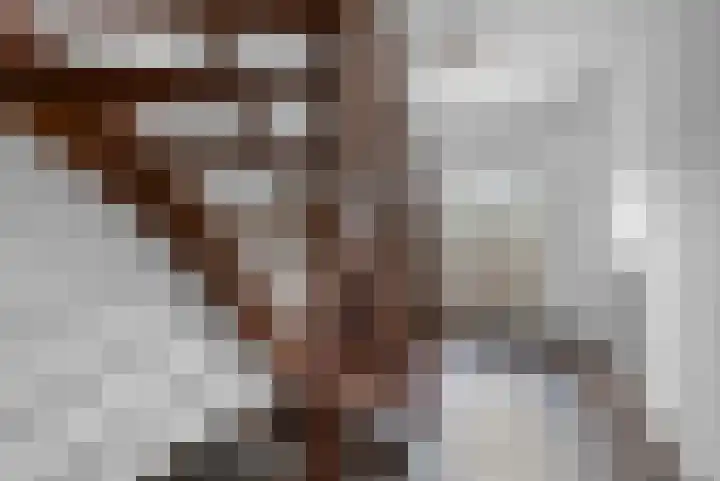 Rhienderensestraat 49 Hall thumbnail 31