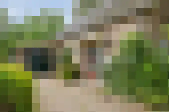 Rhienderinklaan 7 Warnsveld thumbnail 29