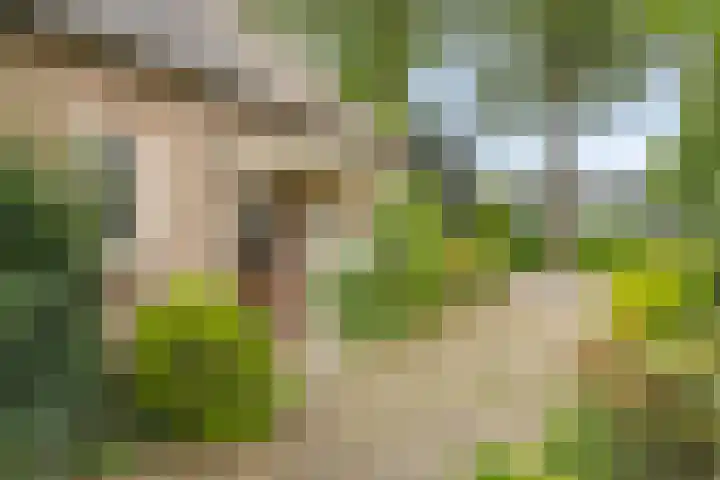 Rhienderinklaan 7 Warnsveld thumbnail 30