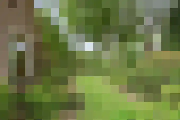 Rhienderinklaan 7 Warnsveld thumbnail 31