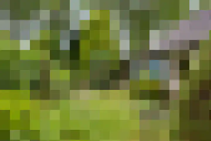 Rhienderinklaan 7 Warnsveld thumbnail 33
