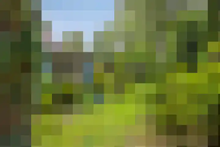 Rhienderinklaan 7 Warnsveld thumbnail 34