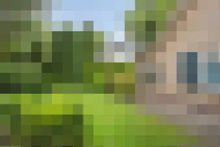 Rhienderinklaan 7 Warnsveld thumbnail 35