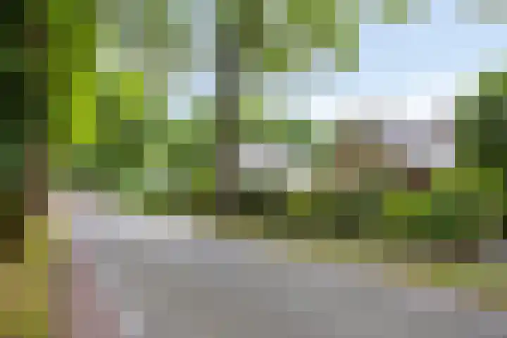 Rhienderinklaan 7 Warnsveld thumbnail 36