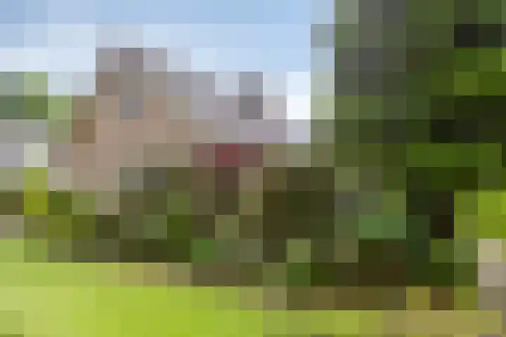 Rhienderinklaan 7 Warnsveld thumbnail 37