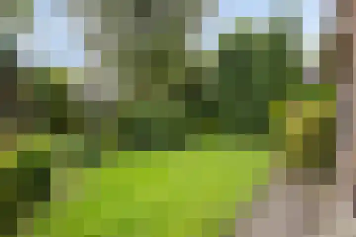 Rhienderinklaan 7 Warnsveld thumbnail 4