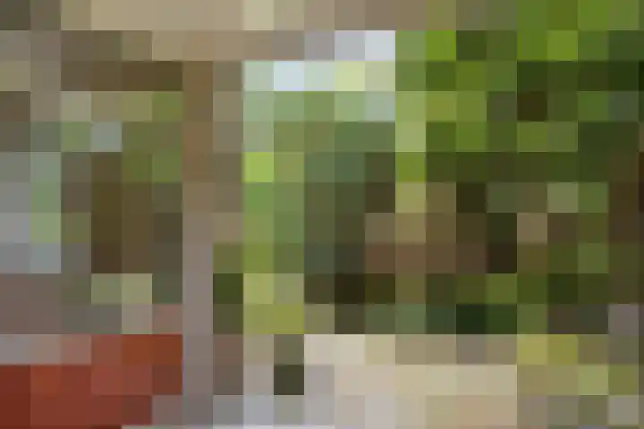 Rhienderinklaan 7 Warnsveld thumbnail 8