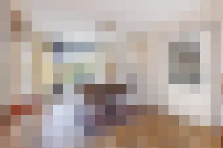 Rhienderstein 12 Ugchelen thumbnail 11