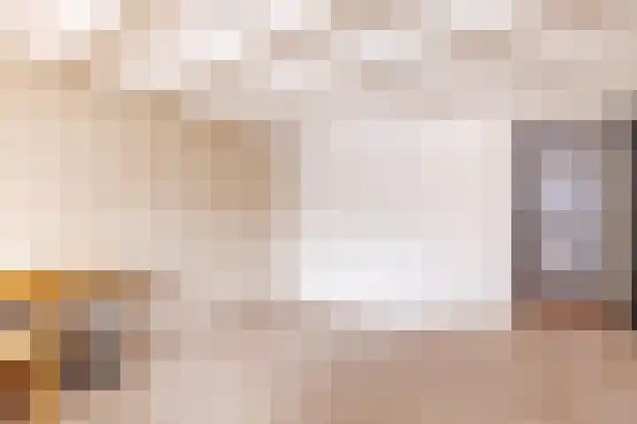 Rhienderstein 12 Ugchelen thumbnail 14
