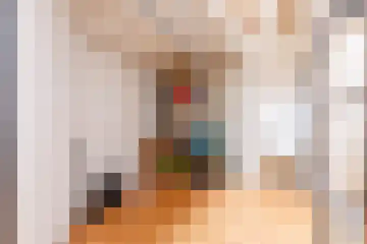 Rhienderstein 12 Ugchelen thumbnail 15