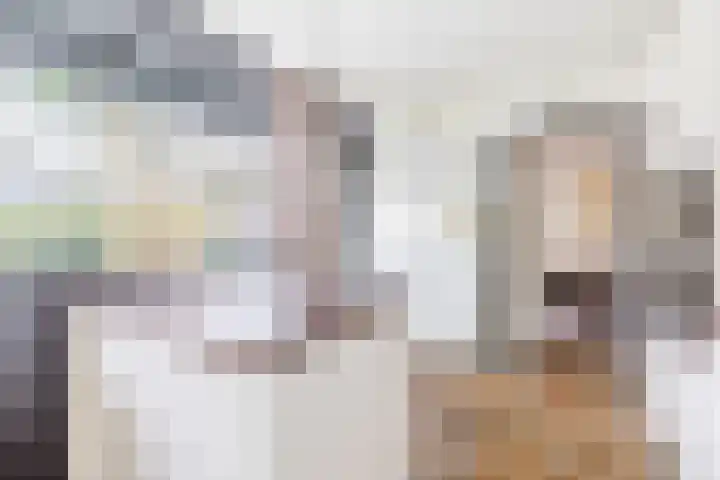 Rhienderstein 12 Ugchelen thumbnail 16