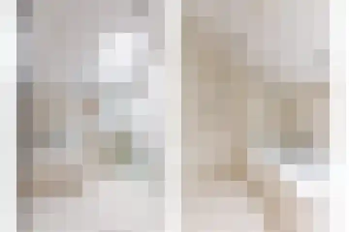 Rhienderstein 12 Ugchelen thumbnail 23