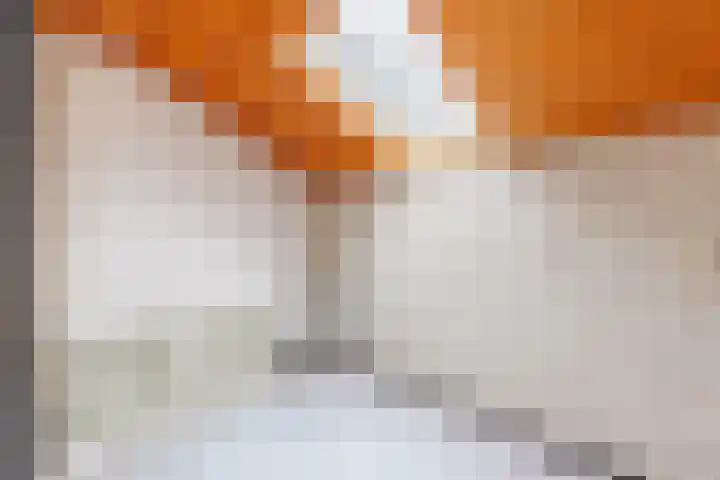 Rhienderstein 12 Ugchelen thumbnail 27
