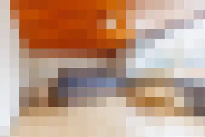 Rhienderstein 12 Ugchelen thumbnail 28